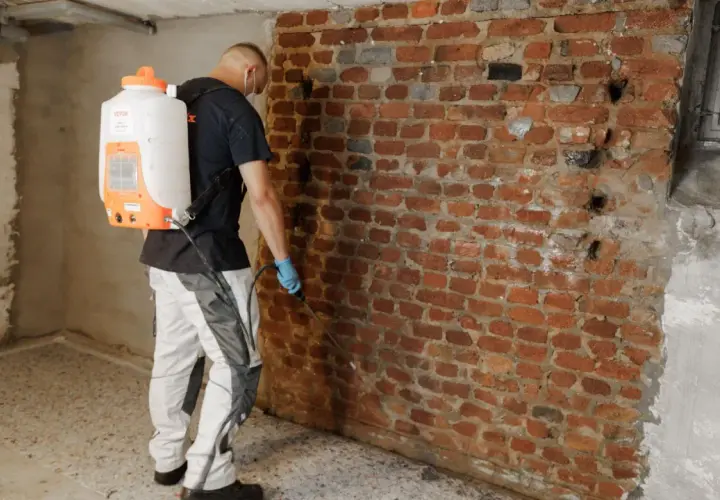 Mann mit Sprühgerät führt wand isolierung gegen feuchtigkeit an einer Ziegelwand durch.