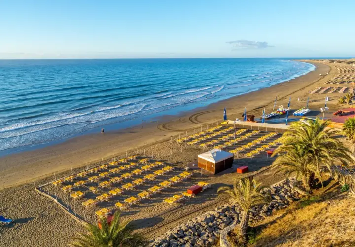 Słoneczna plaża Playa del Inglés z rzędami żółtych leżaków, turkusowym oceanem i palmami.