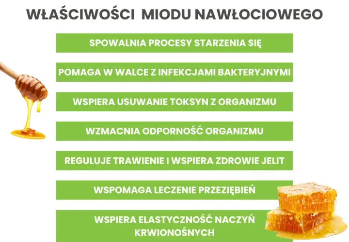 Miód nawłociowy na co pomaga i jak może poprawić zdrowie