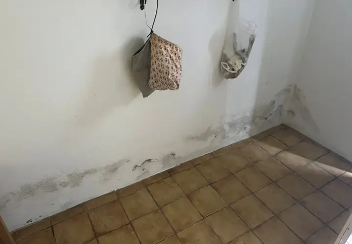 Schimmel an der Wand deutet auf Feuchtigkeitsprobleme hin. Es ist Zeit, den Boden und die Wände abzudichten, um weitere Schäden zu vermeiden.