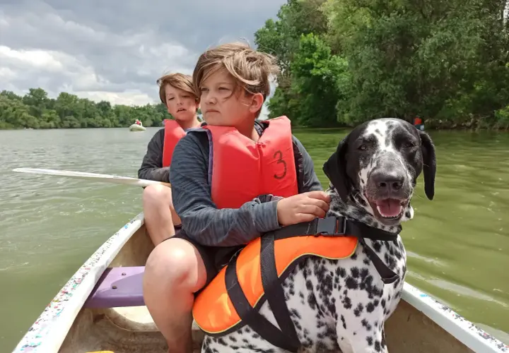Dos niños y un dálmata disfrutan de un paseo en canoa, demostrando los beneficios de tener un perro en aventuras familiares.