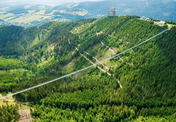 Najwyższy most w Czechach, Sky Bridge 721, przecina gęsty las na zboczu góry. Widok zapiera dech w piersiach.