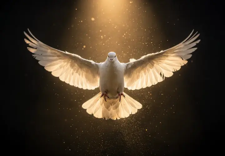 Una paloma blanca, iluminada por una luz dorada, parece flotar en la oscuridad. Es como soñar con palomas, un símbolo de paz y esperanza.
