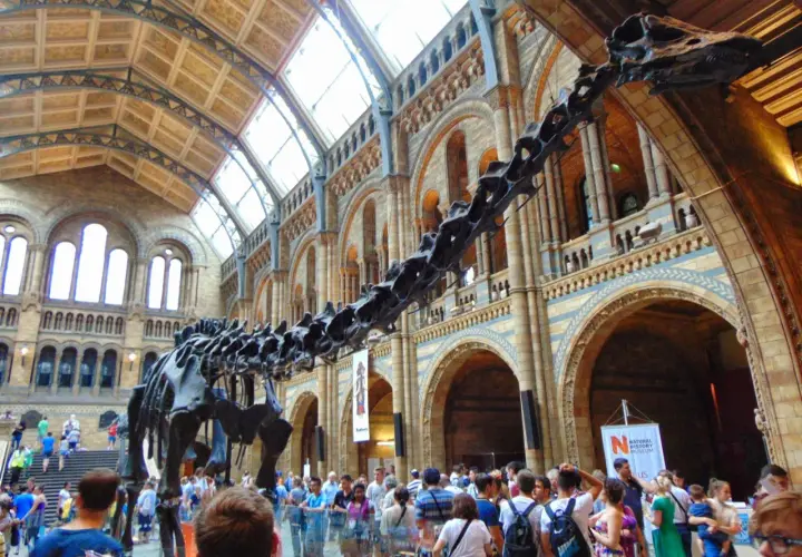 Szkielet dinozaura w holu Muzeum Historii Naturalnej w Londynie. Zwiedzający podziwiają imponującą ekspozycję.