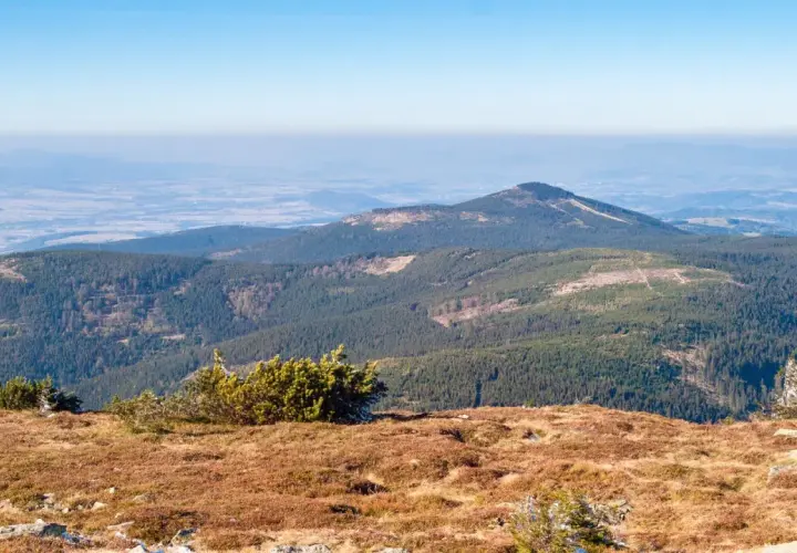 Widok z górnej części zbocza na zalesione pasma górskie i doliny. To najładniejszy szlak na Śnieżnik, z piękną panoramą.