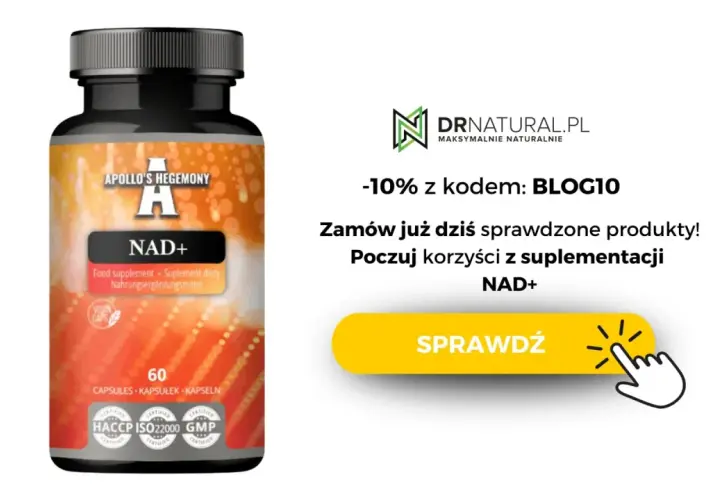 Suplement diety NAD+ od Apollo's Hegemony. Zamów już dziś i poczuj korzyści z suplementacji NAD+. -10% z kodem BLOG10.