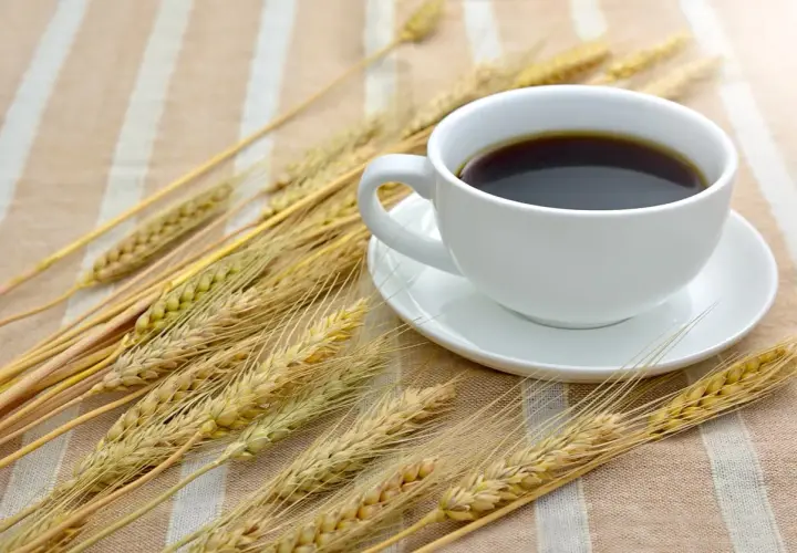Una tazza di caffè d'orzo fumante, circondata da spighe dorate su una tovaglia a righe.