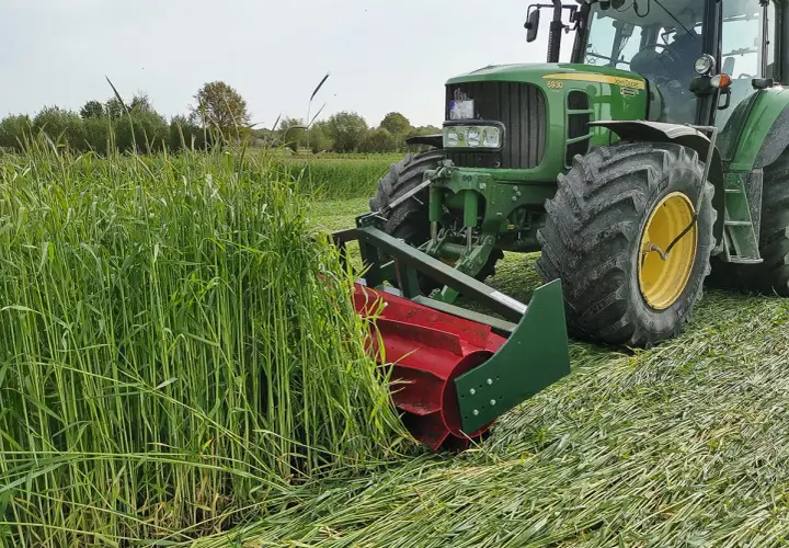 Ein grüner Traktor mäht ein Feld mit hohem Getreide. Die Frage "wann wird Roggen geerntet?" wird hier beantwortet: jetzt, im Sommer.