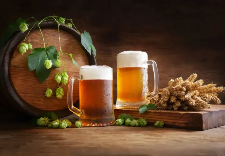 Deux chopes de bière mousseuse, du houblon frais et des épis de blé près d'un tonneau en bois. La carbonatation de la bière est parfaite.
