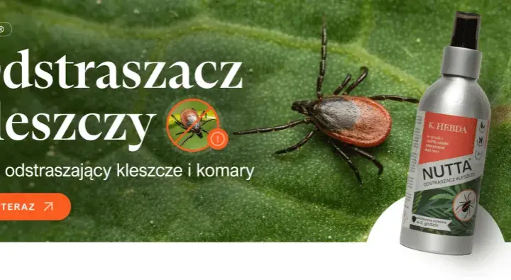 Jak zapobiec boreliozie - skuteczne metody ochrony przed kleszczami