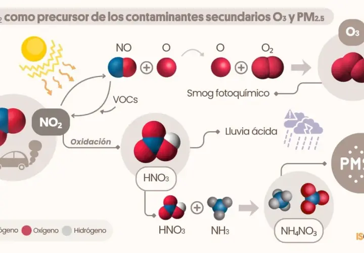 El NO₂ de los coches se oxida y, con la luz solar, genera smog fotoquímico y lluvia ácida, contribuyendo a la nox contaminante y PM2.5.