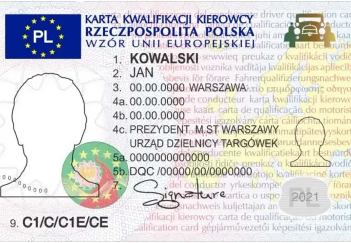 Świadectwo kwalifikacji: Kod 95 w prawie jazdy co musisz wiedzieć?