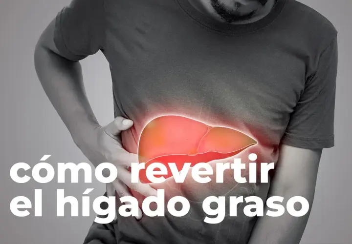 Medicamentos para el hígado graso: opciones y tratamientos efectivos