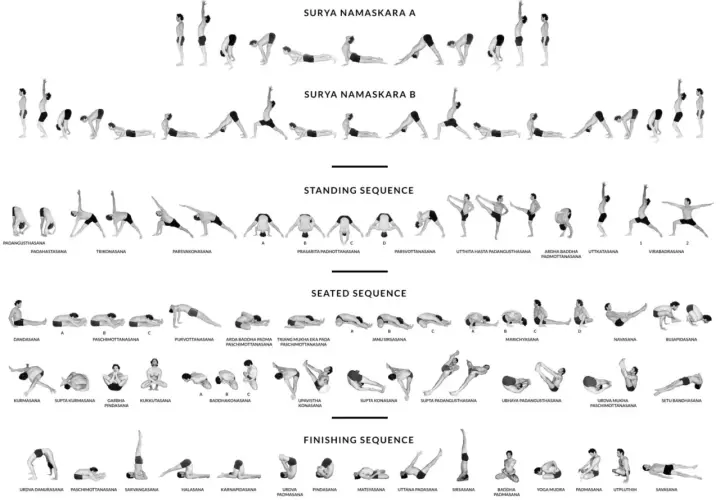 Sekwencje ashtanga: Surya Namaskara A i B, pozycje stojące, siedzące i końcowe.