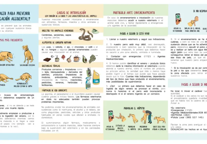 Ilustración sobre qué hacer ante una intoxicación accidental de perros, incluyendo síntomas, causas y protocolos de actuación. Menciona el veneno para perros.