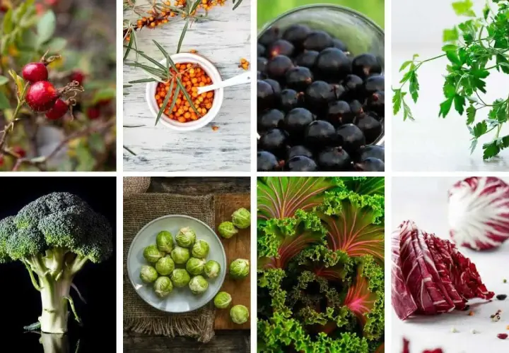 Hagebutten, Sanddorn, schwarze Johannisbeeren, Brokkoli, Rosenkohl, Grünkohl und Radicchio – vielfältige vitamin c lebensmittel für eine gesunde Ernährung.