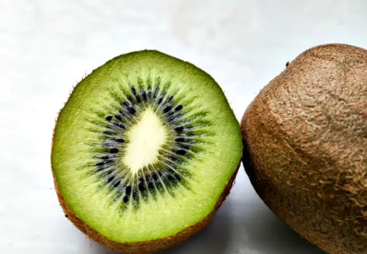 Kiwi dla psa: Tak, ale z głową! Poradnik właściciela