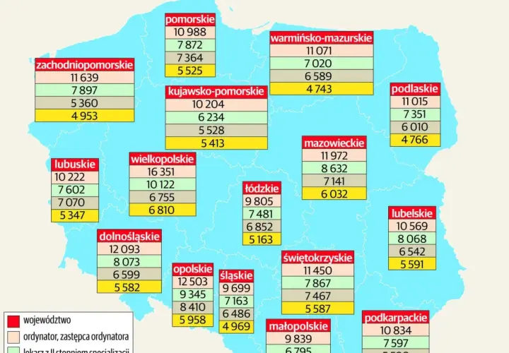 Ile zarabia neurolog? Zaskakujące różnice w wynagrodzeniach w Polsce