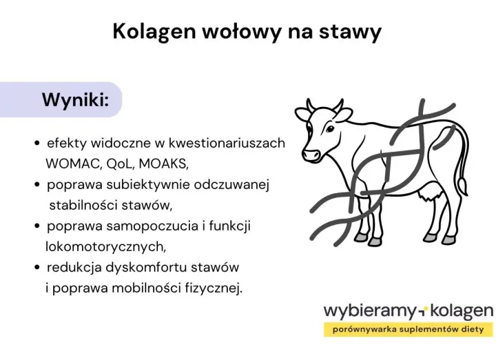Wyniki badań nad kolagenem wołowym: poprawa stabilności stawów, samopoczucia i mobilności. Pomocne w walce z dyskomfortem, jak przy rdzeniowym zaniku mięśni.