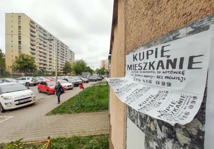 Deweloperka bez pieniędzy? Odkryj modele i finansowanie na start
