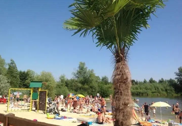 Rzeszów z dzieckiem: Od bajek po piwnice niezapomniane chwile