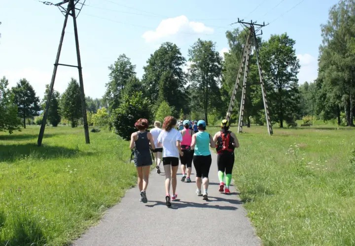 Grupa kobiet biegnie ścieżką w parku, uczestnicząc w obozach bieganie.
