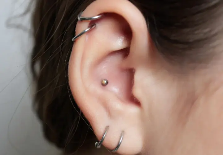 Ucho z kilkoma kolczykami, w tym subtelny orbital conch piercing z małą kuleczką.