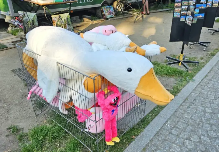 Skąd moda na pluszowe gęsi? Historia Pipy, która podbiła TikToka