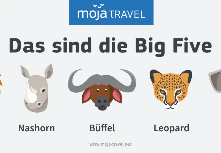 Die Big Five Afrikas: Löwe, Nashorn, Büffel, Leopard und Elefant als bunte Illustrationen.