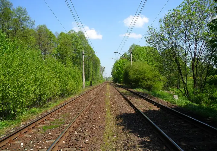 Dwa tory kolejowe biegną w dal, otoczone bujną zielenią drzew i krzewów. Nad nimi widać sieć trakcyjną i błękitne niebo z chmurami.