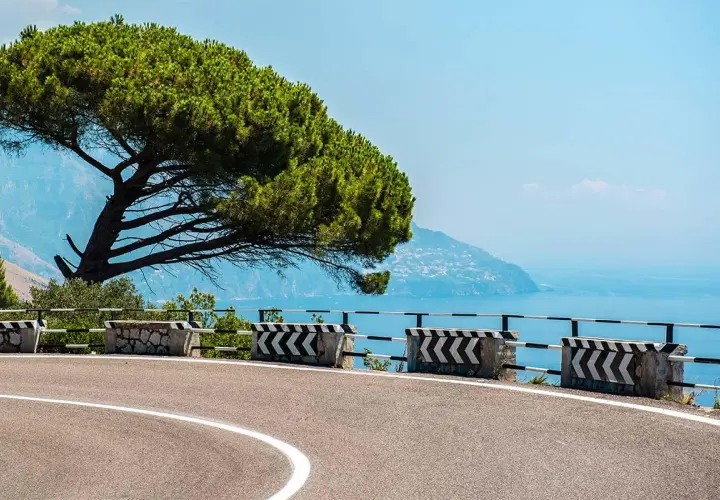 Scenic road on the bus route from Naples to Amalfi, with a pine tree and the blue sea.