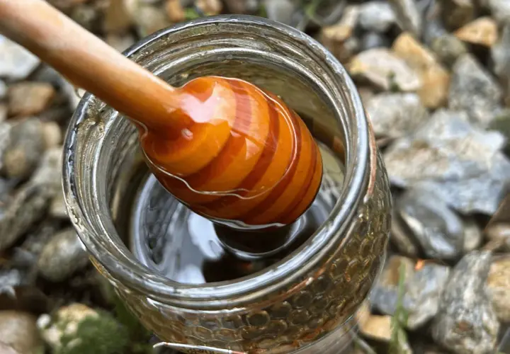 Un agitador de miel de madera con rayas naranjas se sumerge en un frasco de miel dorada, listo para comenzar la ruta de la miel.