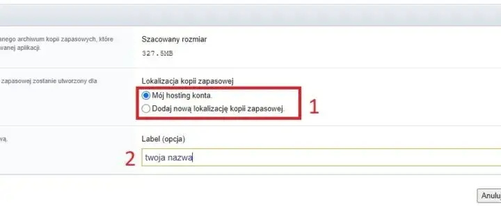 Jak przenieść stronę WordPress na inną domenę bez problemów