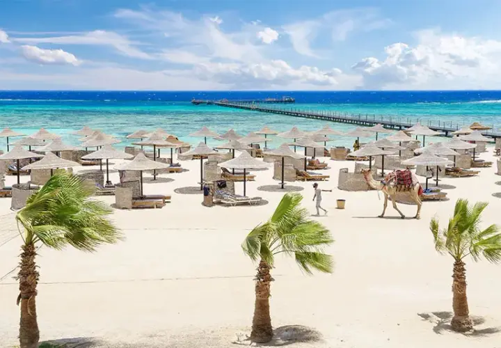 Najlepsze atrakcje w Marsa Alam, które musisz zobaczyć na wakacjach