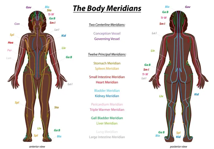 Anterior and posterior views of the human body showing colored meridian lines and labels.