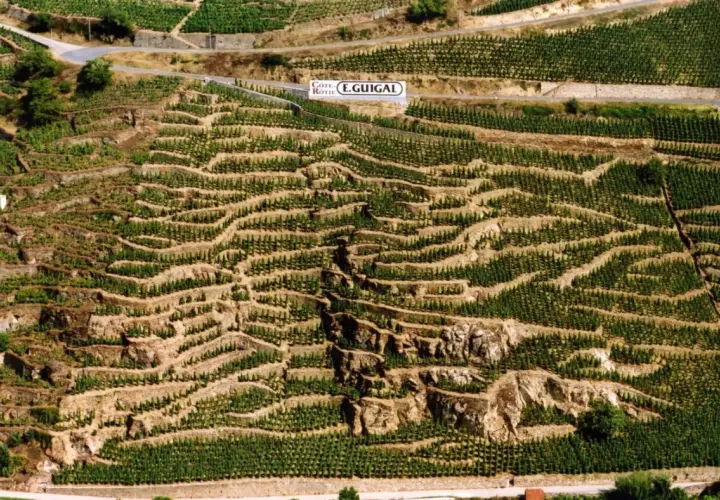 Vignoble en terrasses de Côte Rôtie, un millésime E. Guigal prometteur.