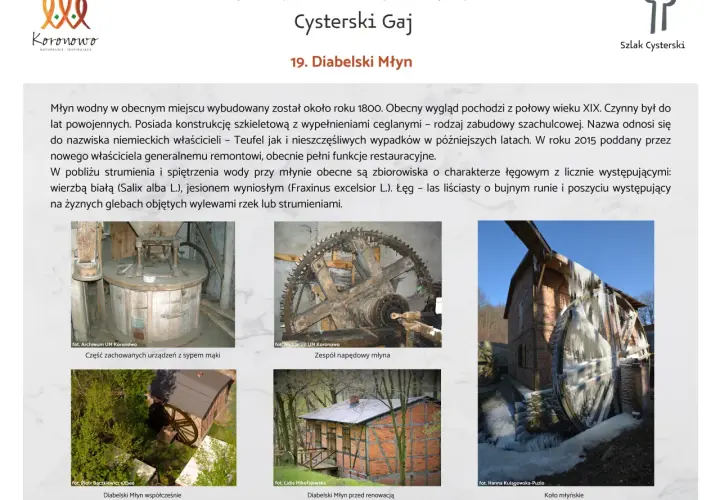 Koronowo atrakcje: Odkryj najbardziej zaskakujące miejsca w mieście