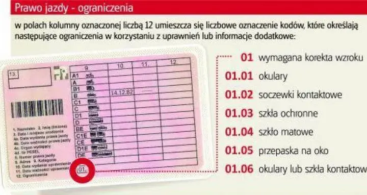 Czy trzeba wozić prawo jazdy? Sprawdź, co grozi za brak dokumentu w aucie