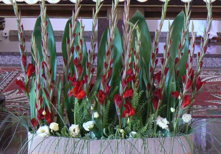 Jakie kwiaty na ołtarz? Najlepsze wybory na wyjątkowe ceremonie