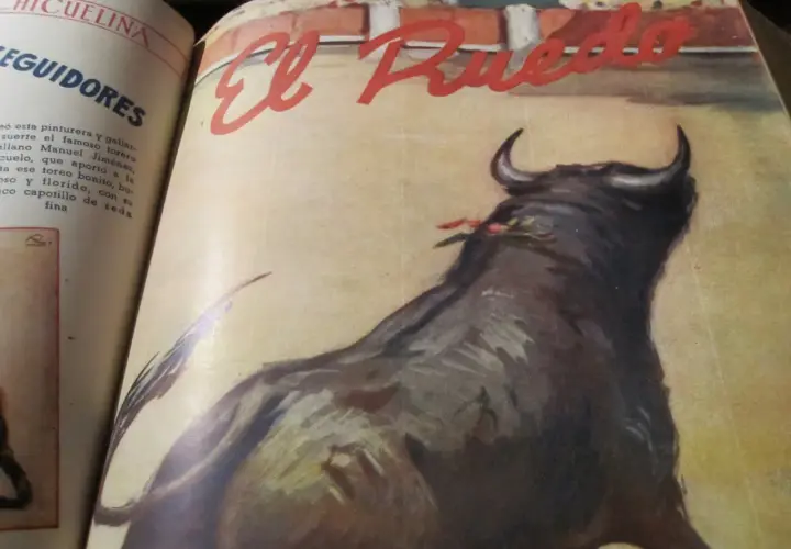 Un toro bravo en el ruedo, con el título "El Ruedo" y la palabra "coquilla torero" en el texto.