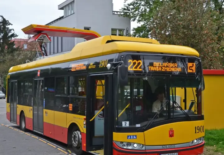 Ile osób zmieści bus/autobus? Limity, kat. B/D i polskie przepisy