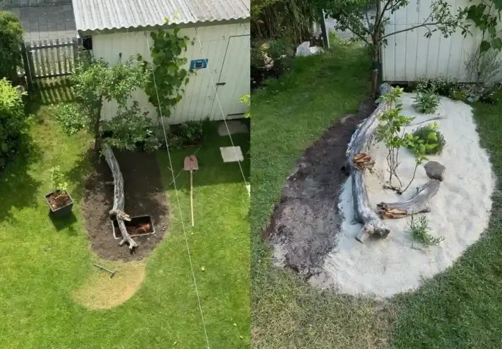 Ein Garten wird umgestaltet. Links: Rasen, Baum, Schaufel. Rechts: Sandbeet mit Treibholz und Pflanzen, ein tierfreundlicher Garten entsteht.