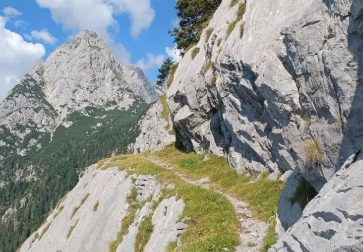 Ein schmaler Pfad schlängelt sich durch die felsige Landschaft der Karnischen Alpen. Im Hintergrund ragen schroffe Gipfel in den blauen Himmel.