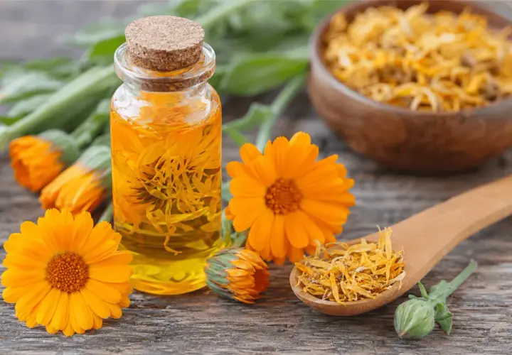Huile de calendula, fleurs fraîches et séchées, un concentré des bienfaits du calendula pour la peau.
