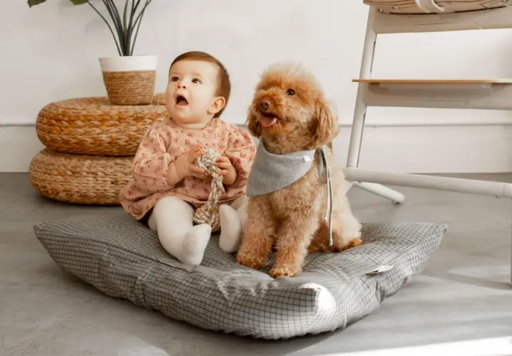 Un bebé y un perro juguetón disfrutan de un momento tierno en casa, sentados juntos en un cojín.