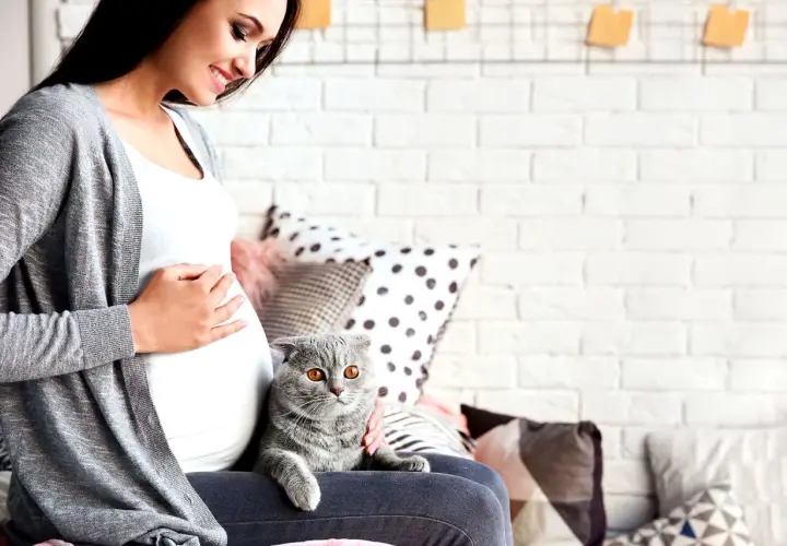 Donna incinta sorride accarezzando il gatto. Un pensiero al toxo test per la sua serenità.
