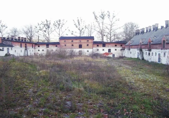 Mniszki skansen: Odkryj znikające rzemiosła i regionalną historię