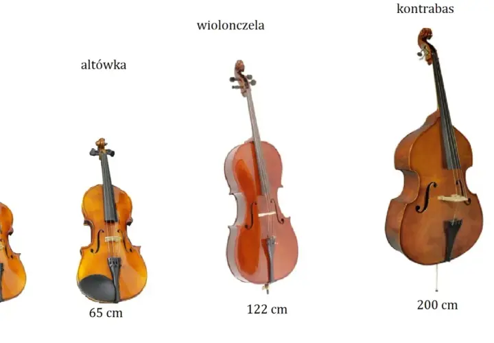Skrzypce, altówka, wiolonczela i kontrabas – oto jakie są instrumenty strunowe, prezentowane w kolejności od najmniejszego do największego.