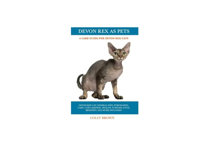 Un gato Devon Rex de pelaje corto y orejas grandes posa para la portada de un libro sobre gatos Devon Rex.