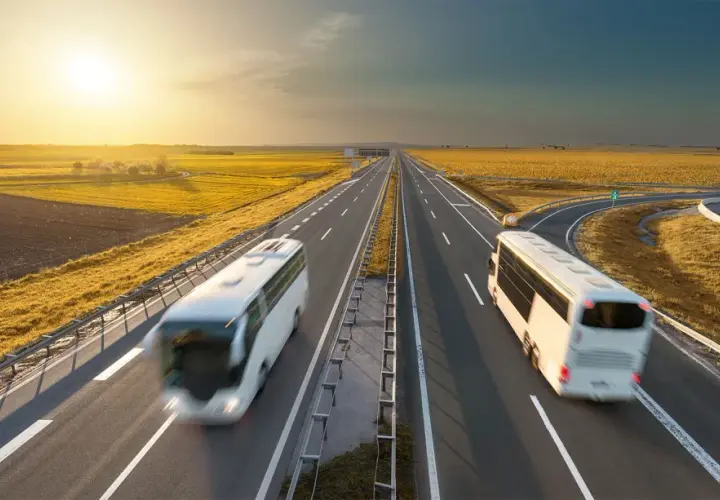 Dwa białe autobusy jadące po autostradzie w słoneczny dzień, otoczone polami.